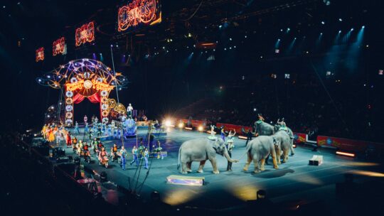 Micro-Trottoir: Les animaux dans les cirques
